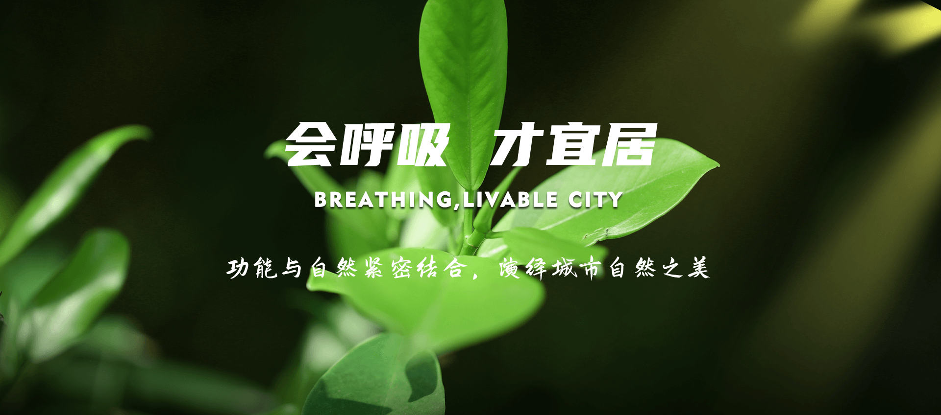 ������Ϸ����(�й���)���޹�˾����